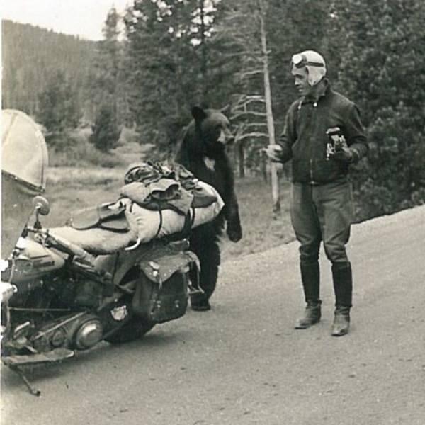 daily picdump 100 pics 38.html - 100 HD Photos | Premium Gallery 2018