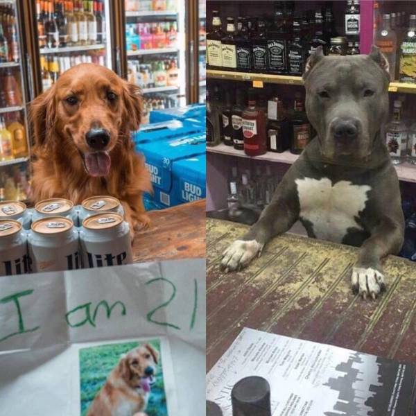 daily picdump 100 pics 38.html - 100 HD Photos | Premium Gallery 2018