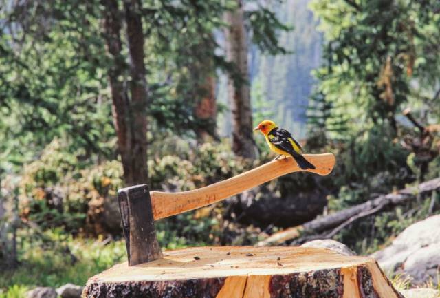 daily picdump 100 pics 38.html - 100 HD Photos | Premium Gallery 2018