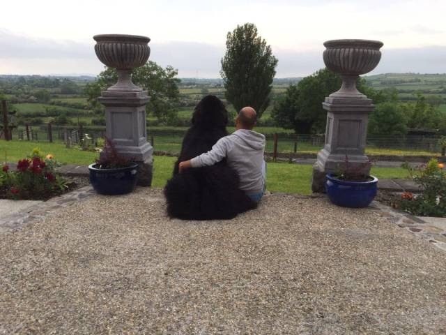 daily picdump 100 pics 38.html - 100 HD Photos | Premium Gallery 2018