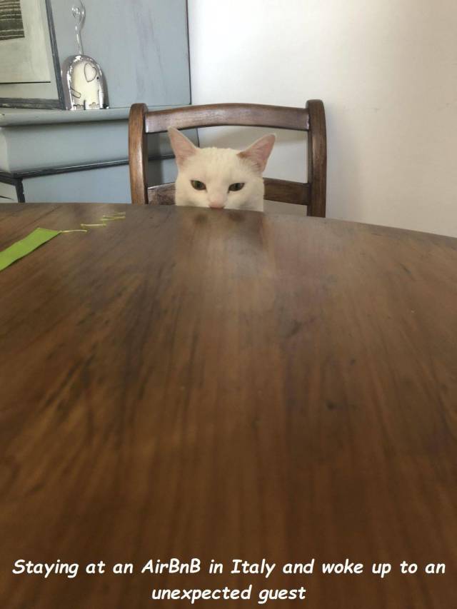 daily picdump 100 pics 38.html - 100 HD Photos | Premium Gallery 2018