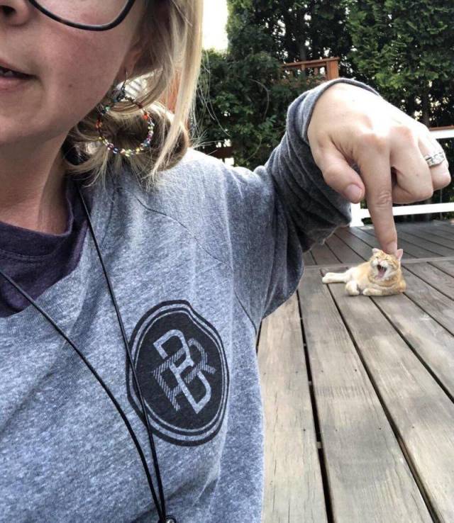 daily picdump 100 pics 38.html - 100 HD Photos | Premium Gallery 2018