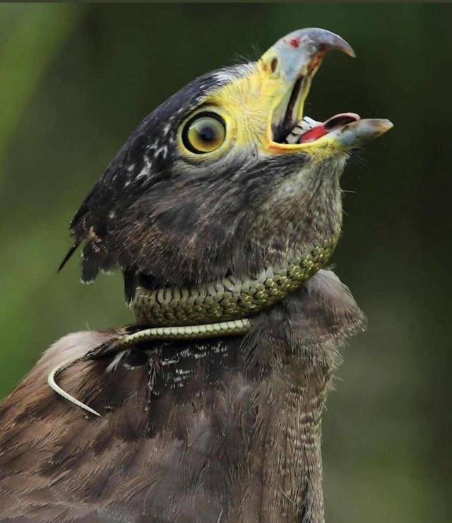 daily picdump 100 pics 38.html - 100 HD Photos | Premium Gallery 2018