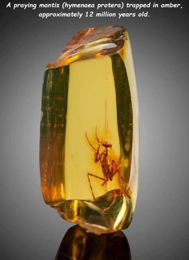 daily picdump 100 pics 38.html - 100 HD Photos | Premium Gallery 2018