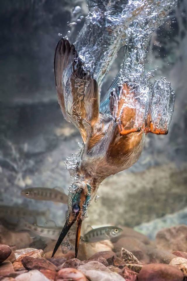 daily picdump 100 pics 38.html - 100 HD Photos | Premium Gallery 2018