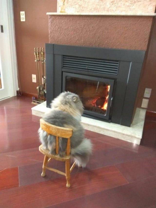 daily picdump 103 pics 41.html - 103 HD Photos | Premium Gallery 2018