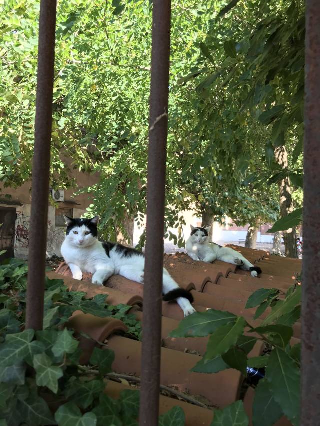 morning picdump 53 pics 13.html - 53 HD Photos | Premium Gallery 2018