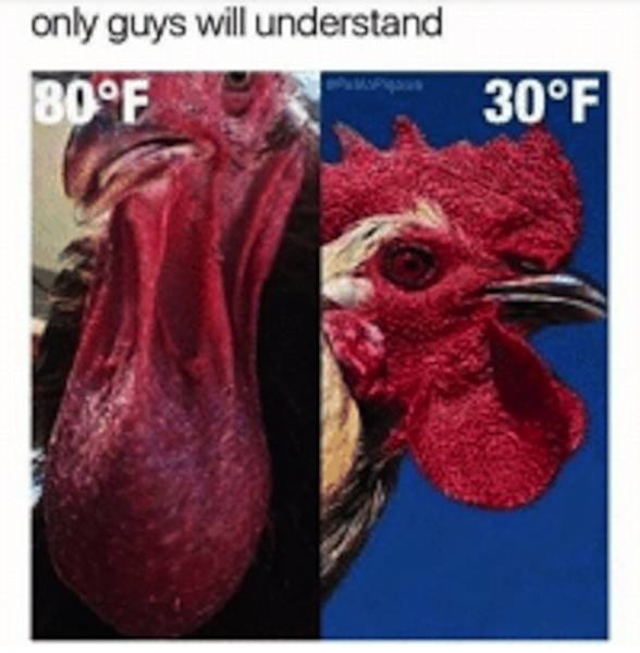 Some Secrets That Are For Men Only