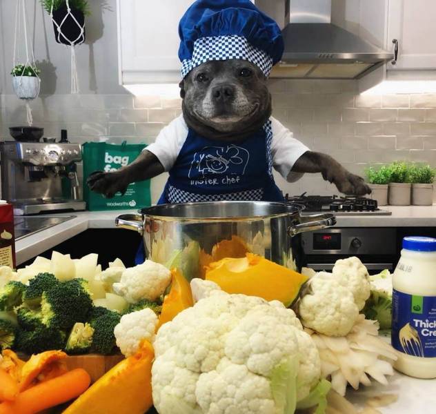 daily picdump 98 pics 16.html - 98 HD Photos | Premium Gallery 2018