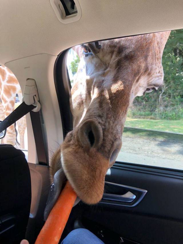 daily picdump 98 pics 16.html - 98 HD Photos | Premium Gallery 2018