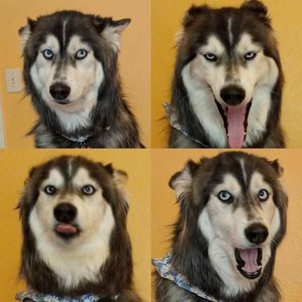 morning picdump 53 pics 24.html - 53 HD Photos | Premium Gallery 2018