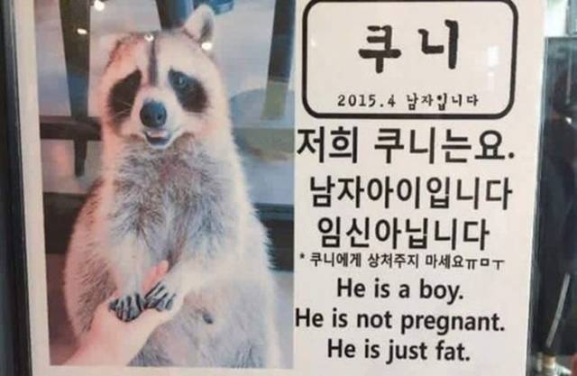 morning picdump 53 pics 24.html - 53 HD Photos | Premium Gallery 2018