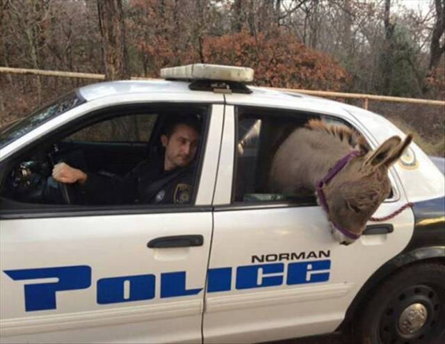 morning picdump 53 pics 24.html - 53 HD Photos | Premium Gallery 2018