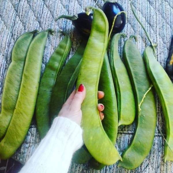 daily picdump 94 pics 27.html - 94 HD Photos | Premium Gallery 2018