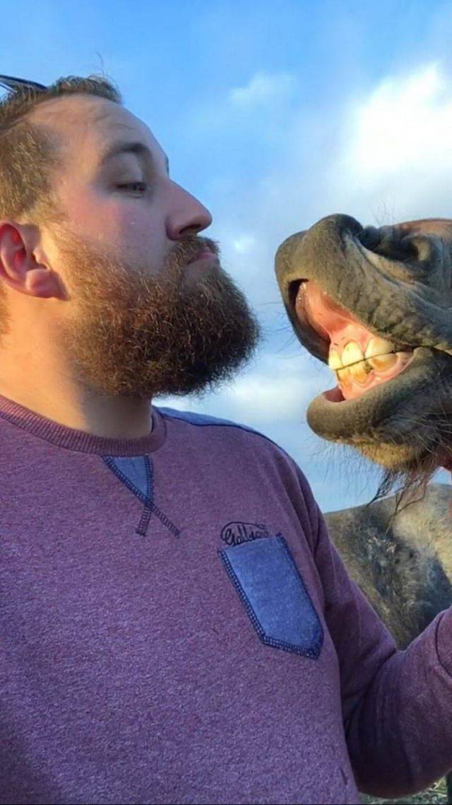 daily picdump 94 pics 27.html - 94 HD Photos | Premium Gallery 2018