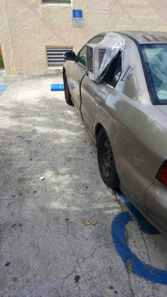 daily picdump 94 pics 27.html - 94 HD Photos | Premium Gallery 2018