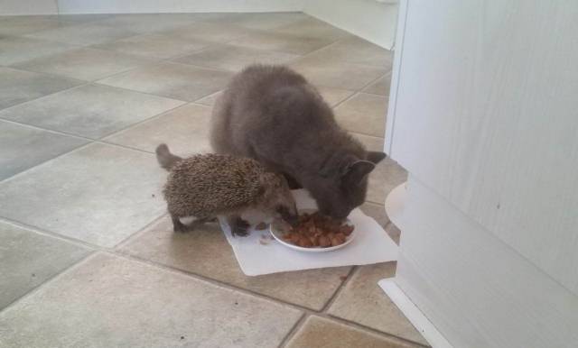 daily picdump 95 pics 33.html - 95 HD Photos | Premium Gallery 2018