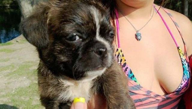 daily picdump 95 pics 33.html - 95 HD Photos | Premium Gallery 2018