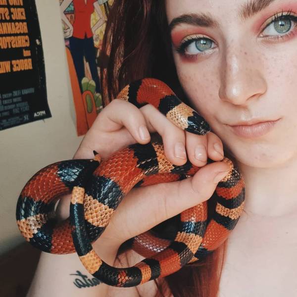 daily picdump 95 pics 33.html - 95 HD Photos | Premium Gallery 2018