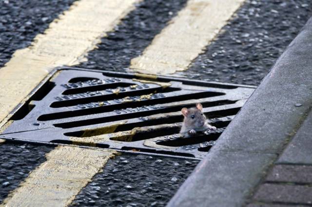 daily picdump 95 pics 33.html - 95 HD Photos | Premium Gallery 2018