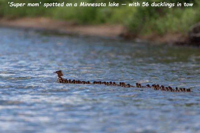 daily picdump 95 pics 33.html - 95 HD Photos | Premium Gallery 2018