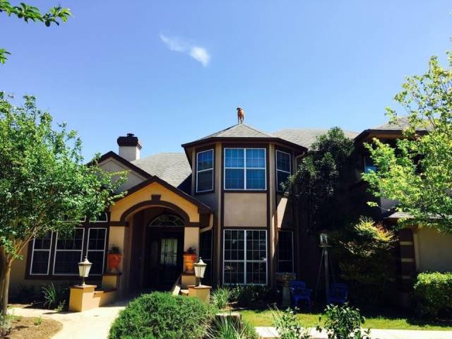 daily picdump 95 pics 33.html - 95 HD Photos | Premium Gallery 2018