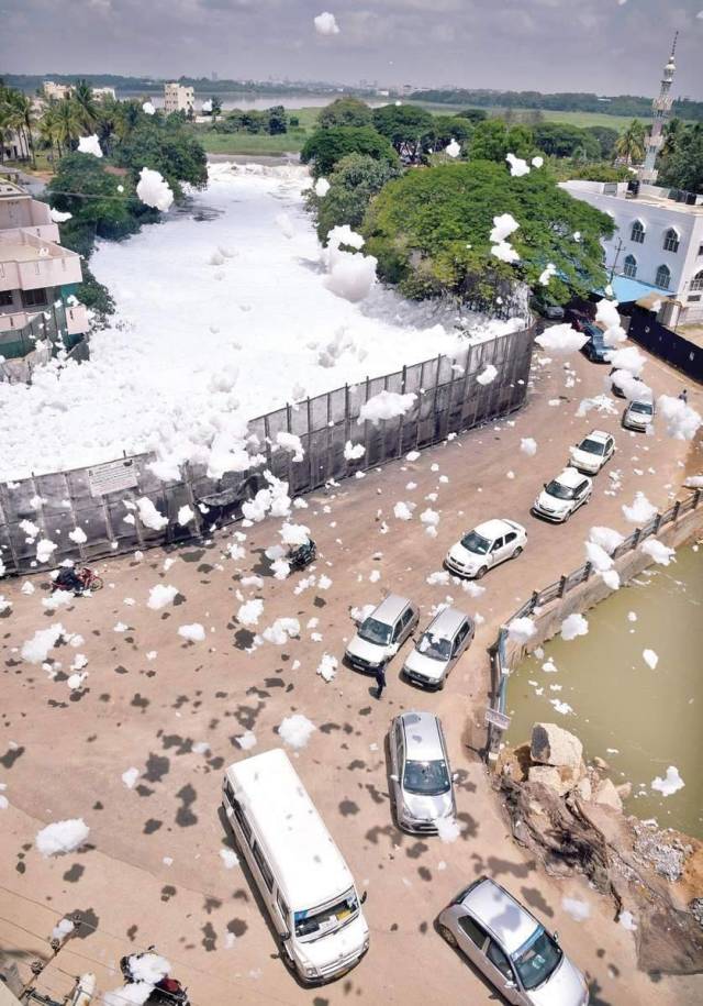 daily picdump 95 pics 33.html - 95 HD Photos | Premium Gallery 2018