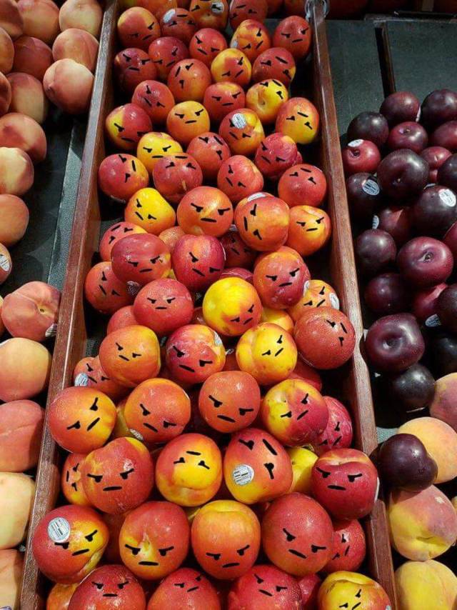 daily picdump 95 pics 33.html - 95 HD Photos | Premium Gallery 2018