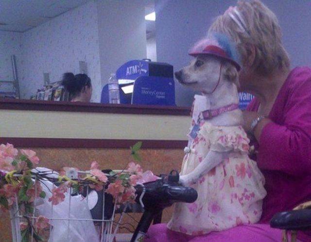 morning picdump 56 pics 10.html - 56 HD Photos | Premium Gallery 2018