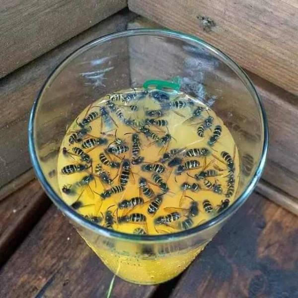 morning picdump 56 pics 10.html - 56 HD Photos | Premium Gallery 2018