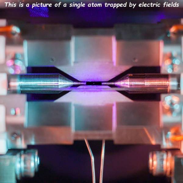 Daily Picdump [WEEKEND EDITION]