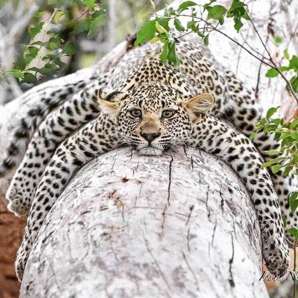 Daily Picdump [WEEKEND EDITION]