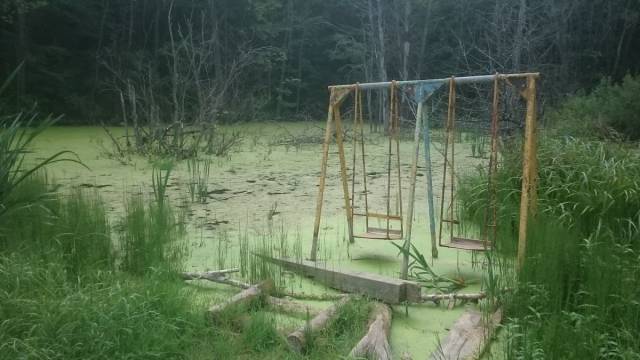 daily picdump 100 pics 28.html - 100 HD Photos | Premium Gallery 2018