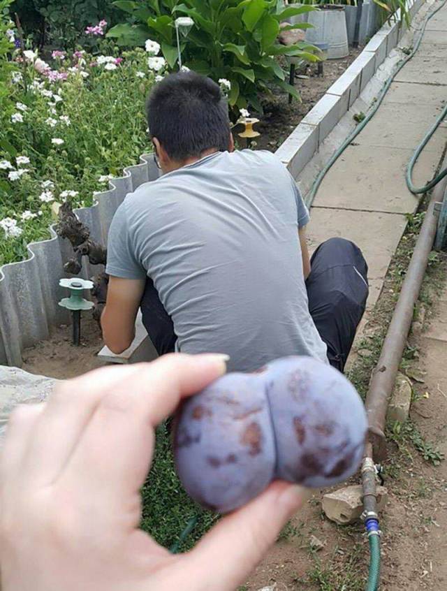 daily picdump 100 pics 28.html - 100 HD Photos | Premium Gallery 2018