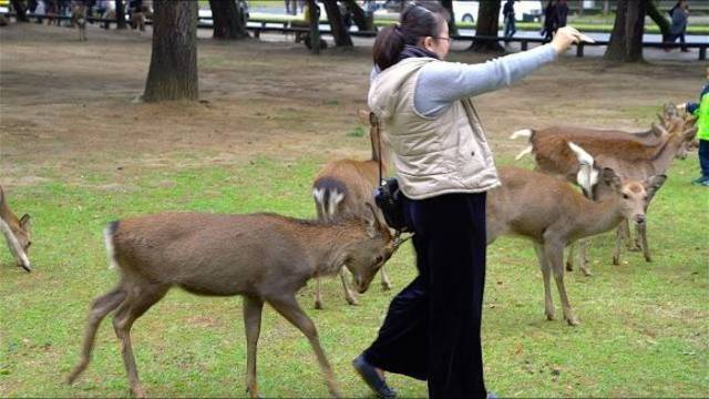 daily picdump 91 pics 46.html - 91 HD Photos | Premium Gallery 2018