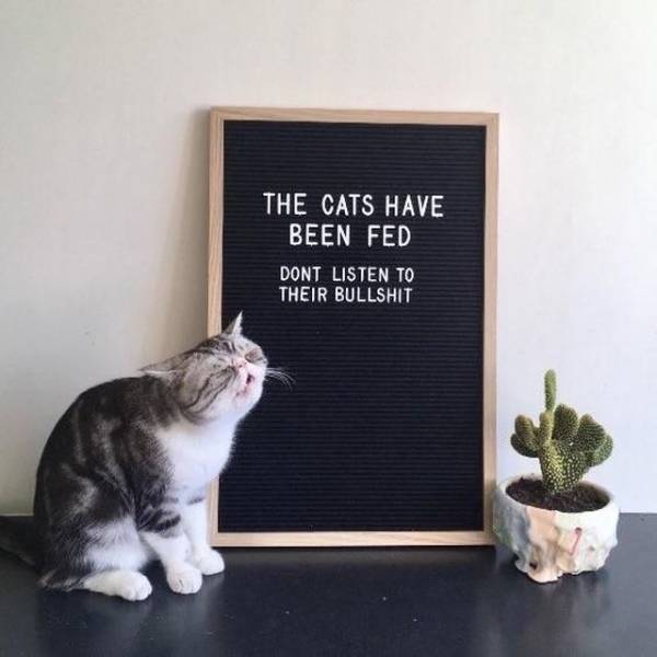 daily picdump 91 pics 46.html - 91 HD Photos | Premium Gallery 2018