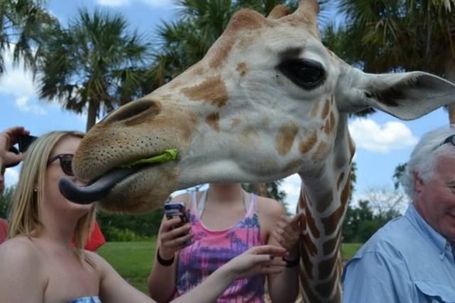 daily picdump 91 pics 46.html - 91 HD Photos | Premium Gallery 2018