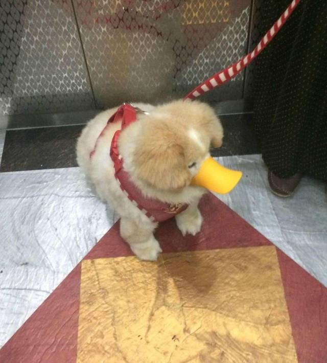 daily picdump 91 pics 46.html - 91 HD Photos | Premium Gallery 2018