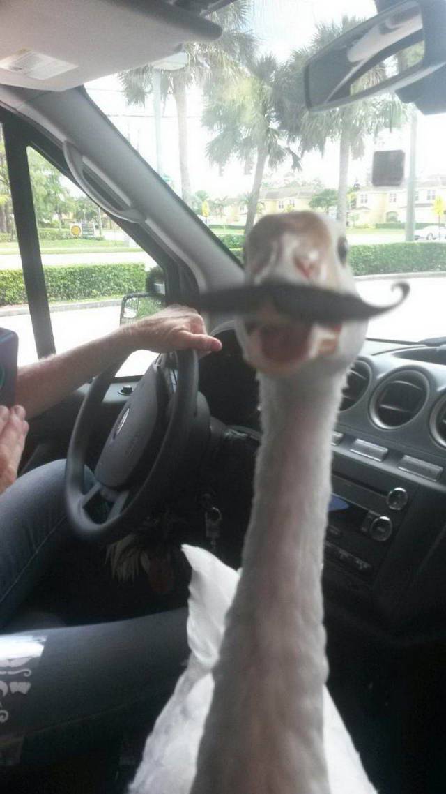 daily picdump 91 pics 46.html - 91 HD Photos | Premium Gallery 2018