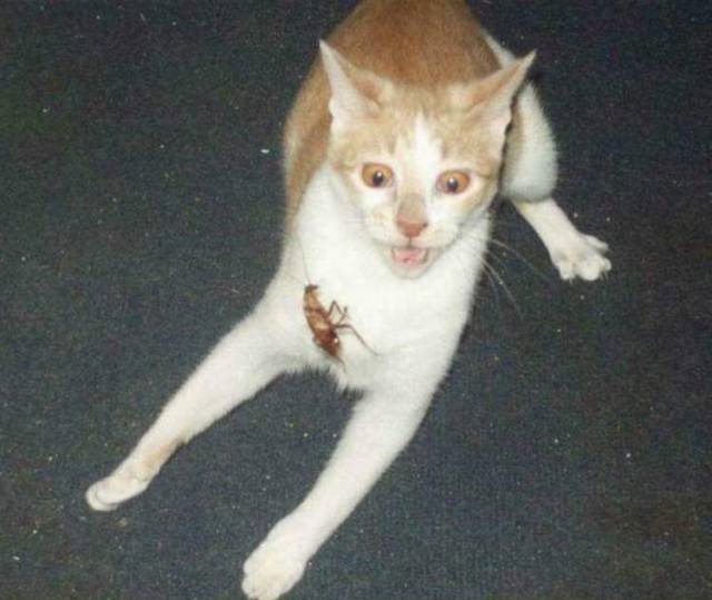 morning picdump 58 pics 25.html - 58 HD Photos | Premium Gallery 2018