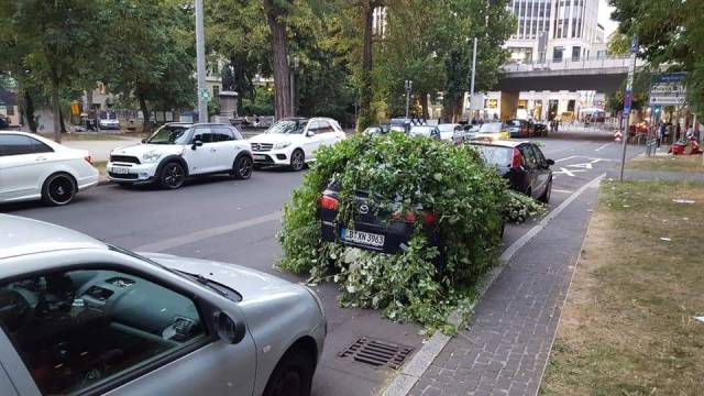 morning picdump 58 pics 25.html - 58 HD Photos | Premium Gallery 2018