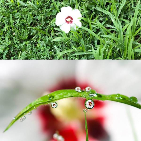 morning picdump 58 pics 25.html - 58 HD Photos | Premium Gallery 2018