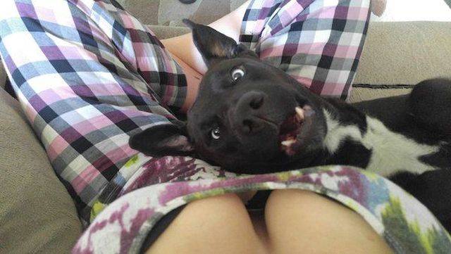 morning picdump 58 pics 25.html - 58 HD Photos | Premium Gallery 2018