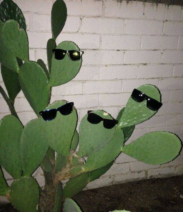 morning picdump 58 pics 25.html - 58 HD Photos | Premium Gallery 2018