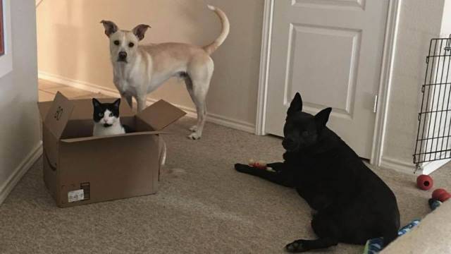 daily picdump 92 pics 17.html - 92 HD Photos | Premium Gallery 2018