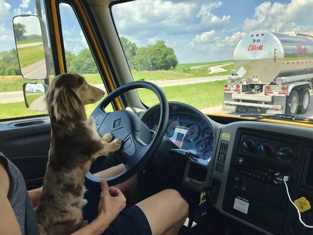 daily picdump 92 pics 17.html - 92 HD Photos | Premium Gallery 2018