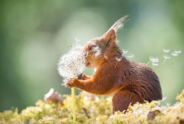 daily picdump 92 pics 17.html - 92 HD Photos | Premium Gallery 2018