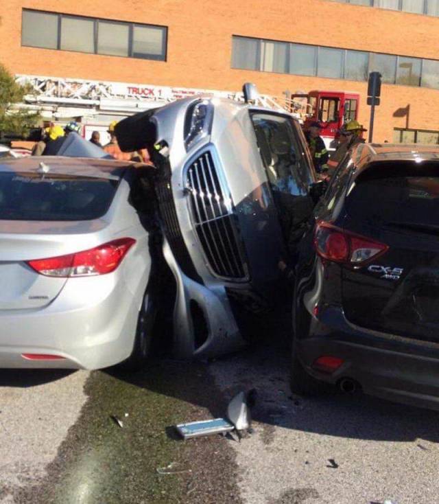 daily picdump 92 pics 17.html - 92 HD Photos | Premium Gallery 2018