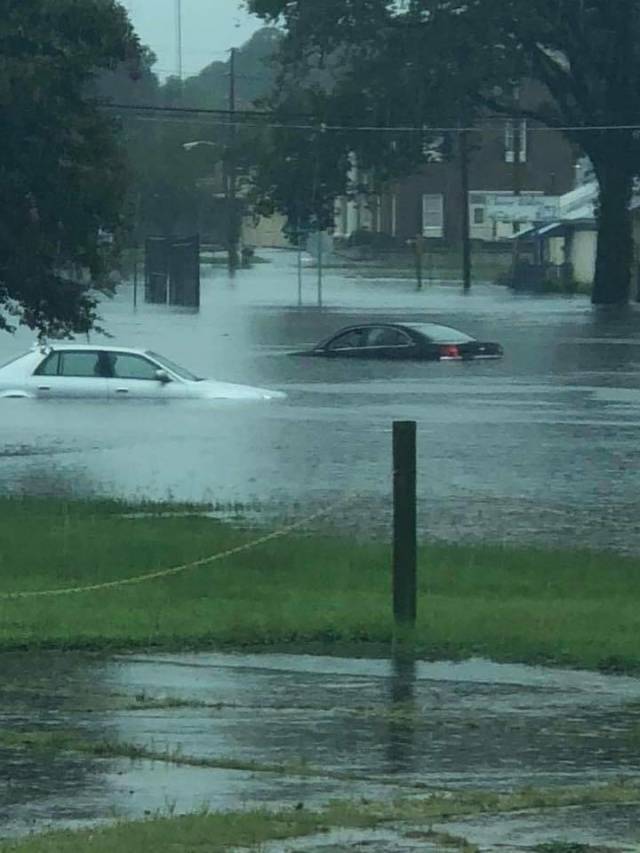 daily picdump 92 pics 17.html - 92 HD Photos | Premium Gallery 2018