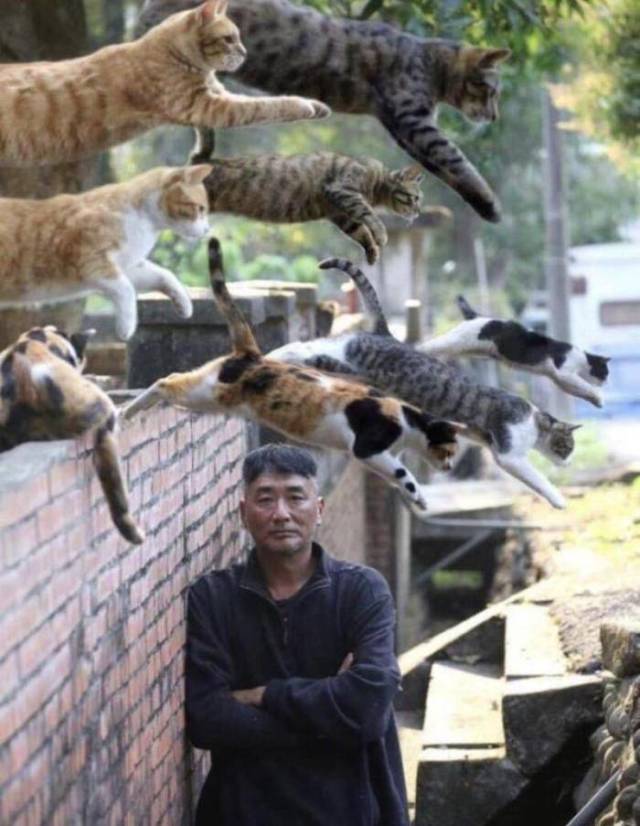 daily picdump 92 pics 17.html - 92 HD Photos | Premium Gallery 2018